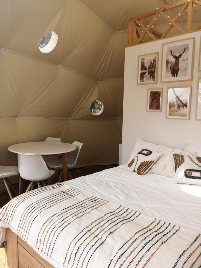 Hotel Medve Dome - Luxury Camping In The Middle Of Nature Vlahita Exterior foto