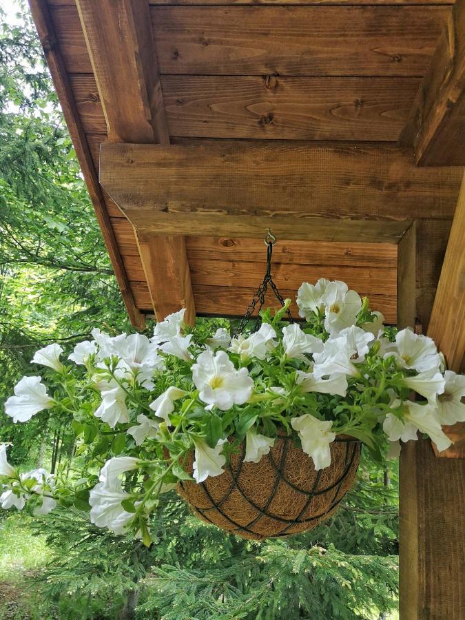 Hotel Medve Dome - Luxury Camping In The Middle Of Nature Vlahita Exterior foto