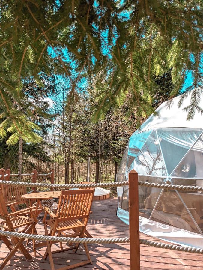 Hotel Medve Dome - Luxury Camping In The Middle Of Nature Vlahita Exterior foto