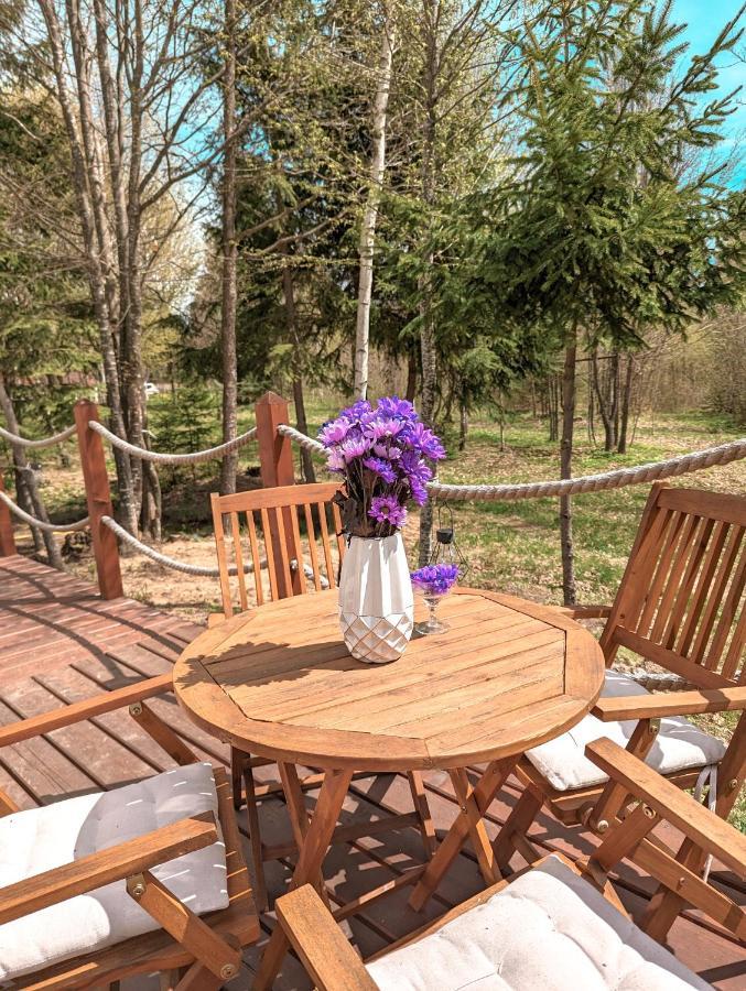 Hotel Medve Dome - Luxury Camping In The Middle Of Nature Vlahita Exterior foto